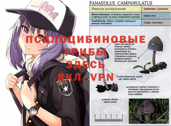 прущая мука Алзамай